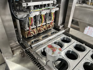 What Are the Key Hygiene Features to Look for in a Dairy Cup Filling Machine?